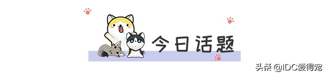 猫咪的性别用什么符号表示,刚出生的猫咪怎么分辨性别