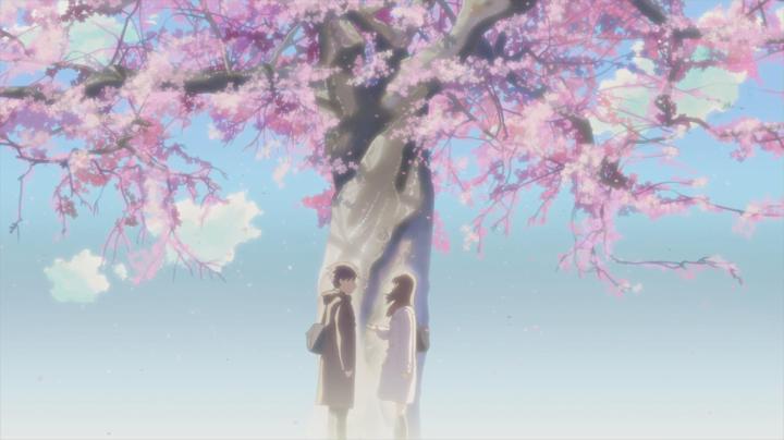 动漫中樱花的意义,日本动漫中樱花文化