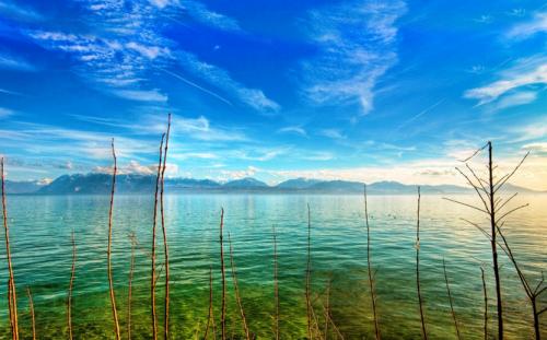 微信昵称暴露了你的性格,看名字知人心