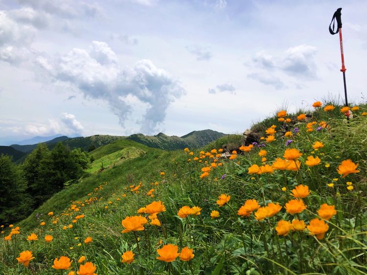 小五台山哪里进入景区,小五台山春天景色