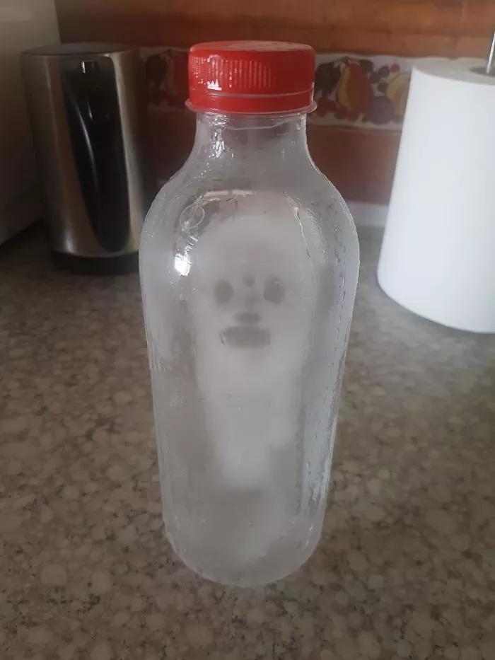 神奇的大自然巧合图片,大自然的神奇巧合惊人的史前文明