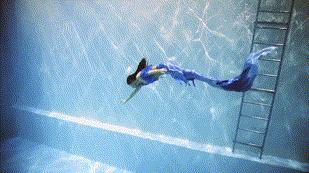 只要你愿意，就能圆你一个人鱼公主梦|美人鱼系列课程