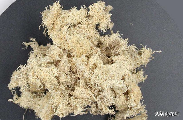 丝瓜养花,老丝瓜籽千万别扔11种用途