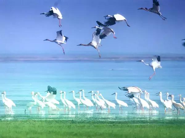 庐山滕王阁一日游最佳路线,江西到河北旅游团