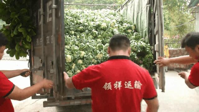 鐖卞績浼佷笟鐐硅禐,鐖卞績鍏泭鐐硅禐