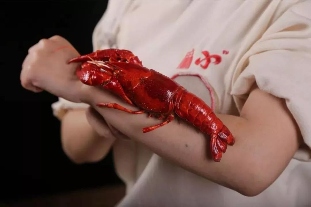 凌晨5点从尼罗河空运到昆明的小龙吓店,居然在卖ysl口红,只要28