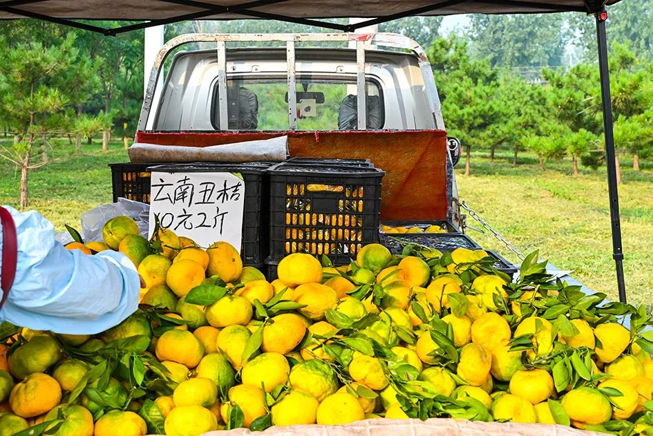 满满的烟火气逛大集真好玩,最值得逛的大集