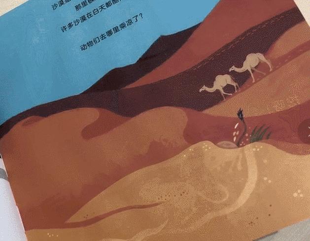 黄磊给女儿看的绘本,黄磊女儿看的绘本书