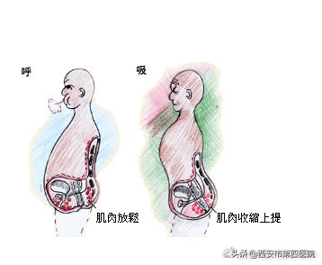 春节期间痔疮高发期,为什么过年回家容易引发痔疮