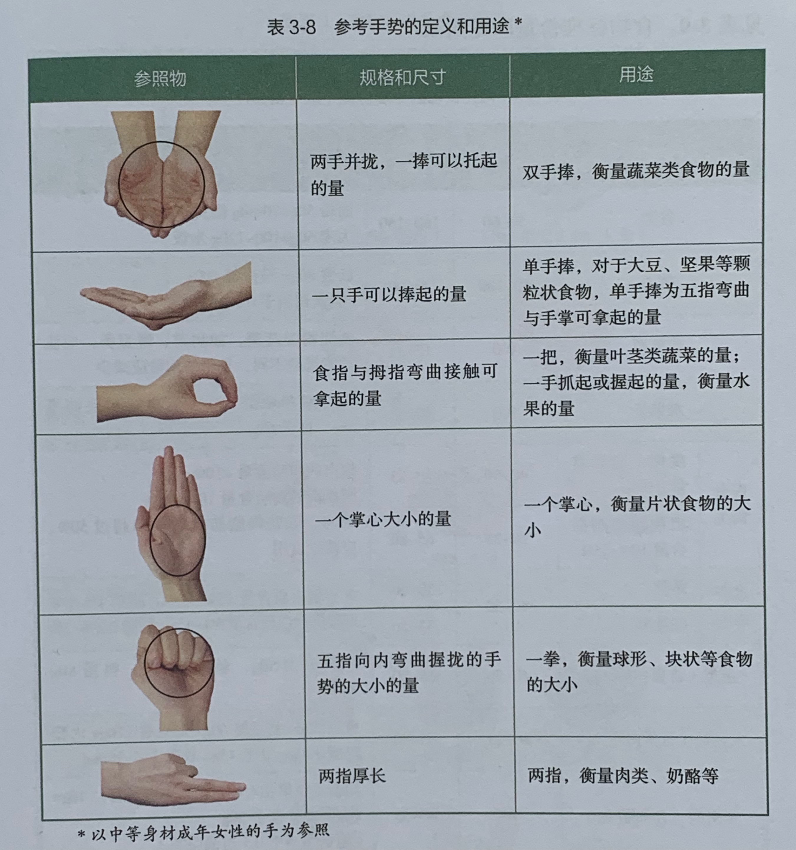 吃一斤蔬菜的量,每天1斤蔬菜吃得下吗