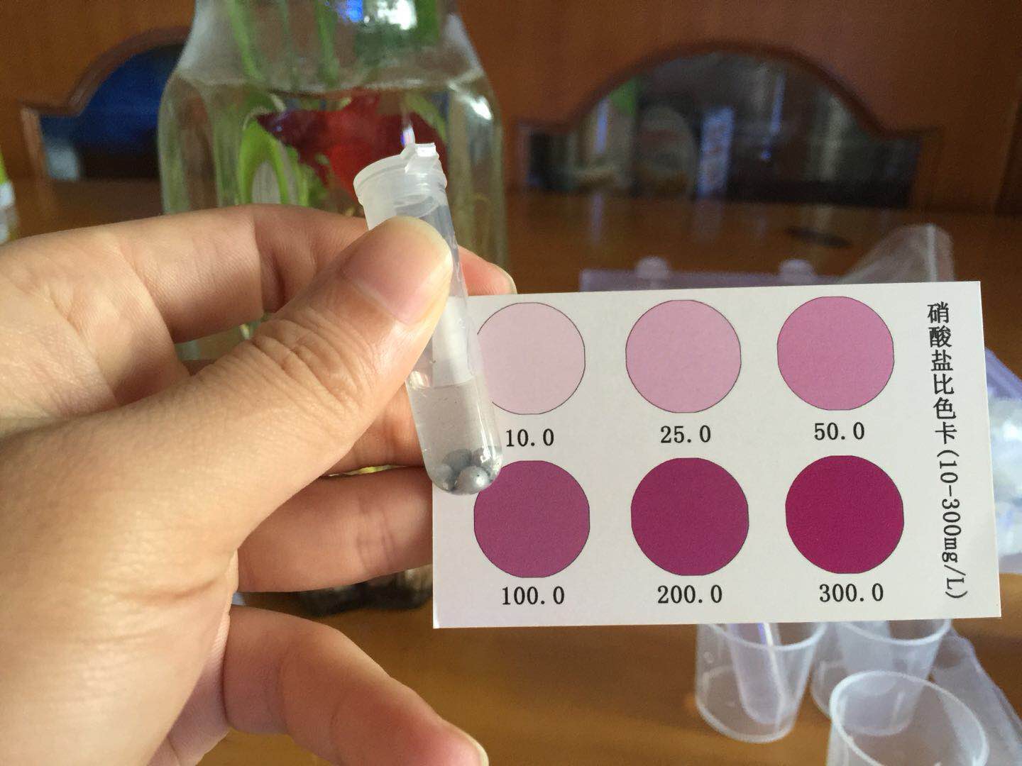 绿萝怎么给斗鱼造景,斗鱼与绿萝能一起养吗