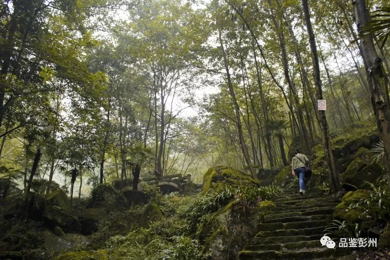 来彭州带你看海,冬天的彭州