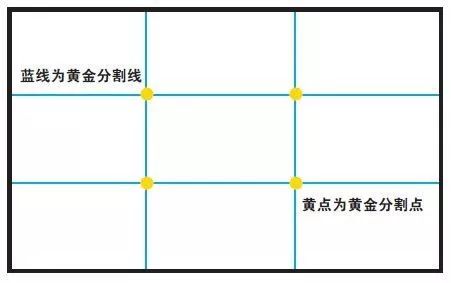 素描头像画不像的七种错误,静物素描形体不准怎么办