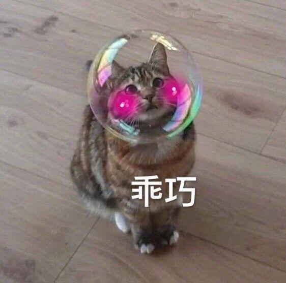 开心一刻gif搞笑动图,搞笑gif段子看起来能量满满