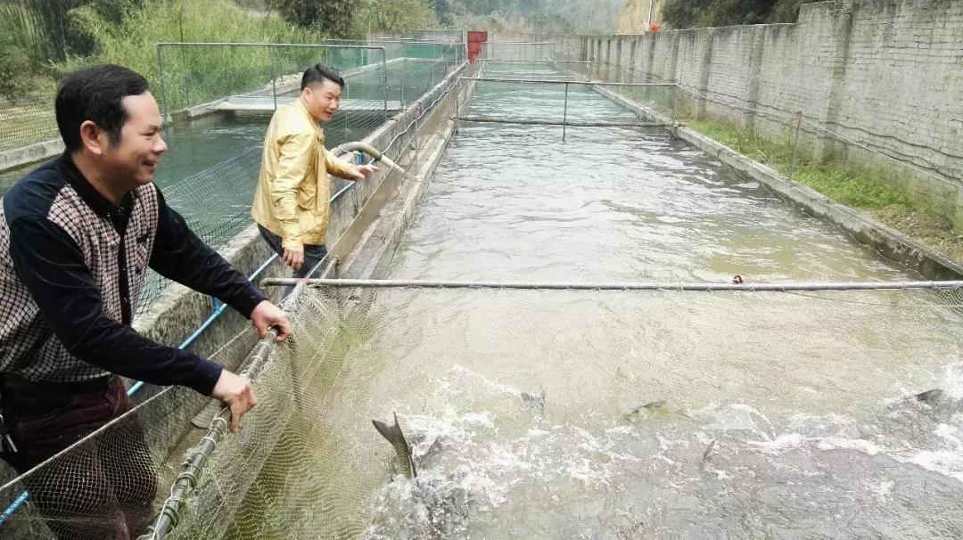 20,000㎡农庄,开业15年,主厨曾获粤港澳十大金牌名厨称号!