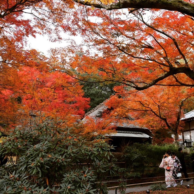 日本京都枫叶季旅游攻略,日本关西赏枫旅游攻略