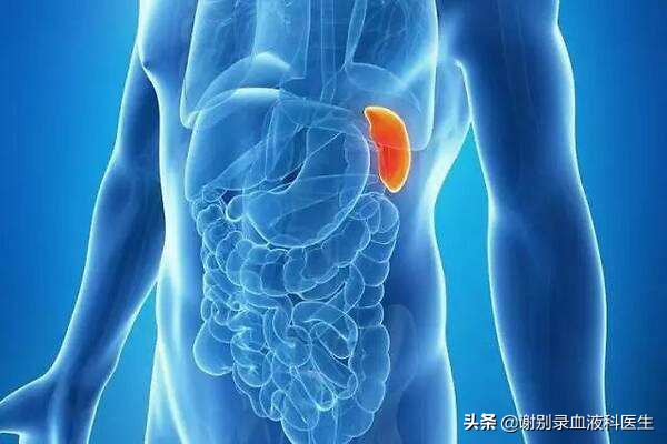 谢别录能治好mds吗,李罡灿中医治疗血小板减少