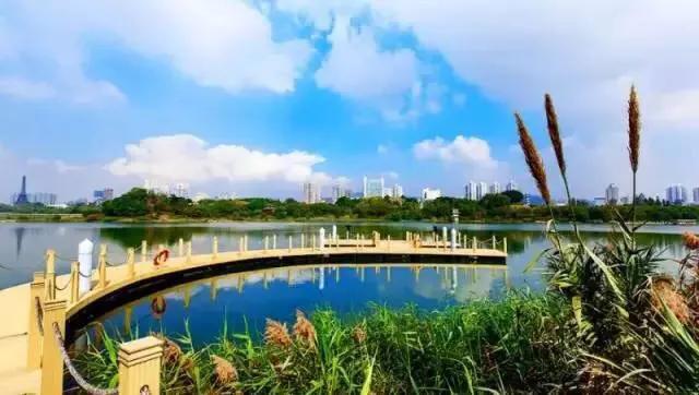 湖泊风景区推荐,深圳十大免费主题公园