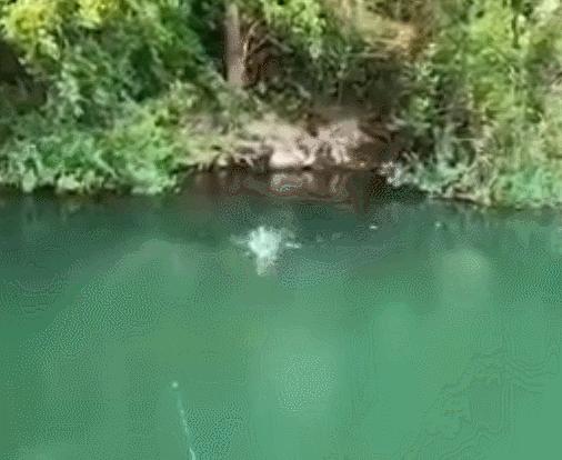 30张活久未见的图片,30组活久见的照片