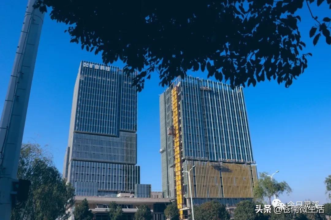住在灵溪什么感觉,灵溪住顶楼什么体验