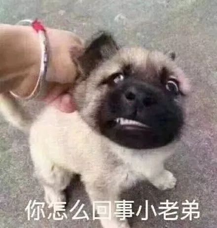 闲鱼怎么让闲置的衣服快速卖,怎样在闲鱼平台卖闲置衣服包包