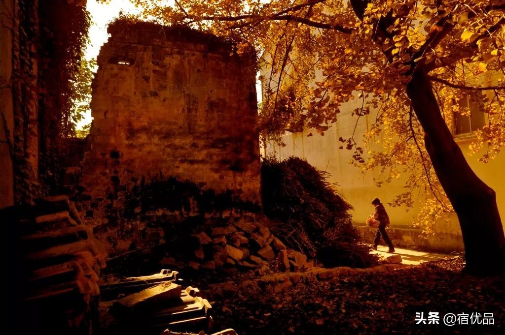 32张美景图片,苏州东山西山风景区哪个更值得去