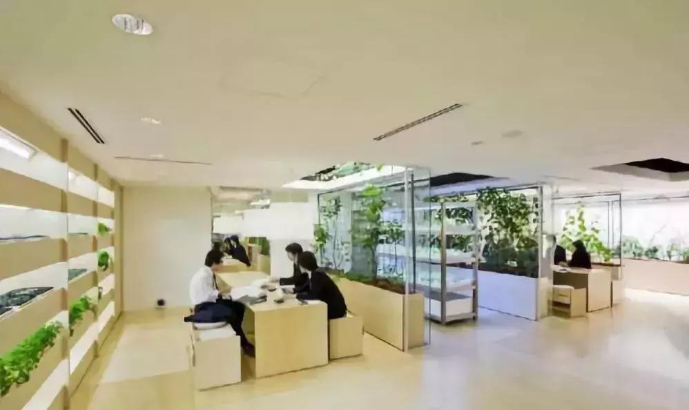 办公室里也能开挖掘机,办公室可以种葡萄