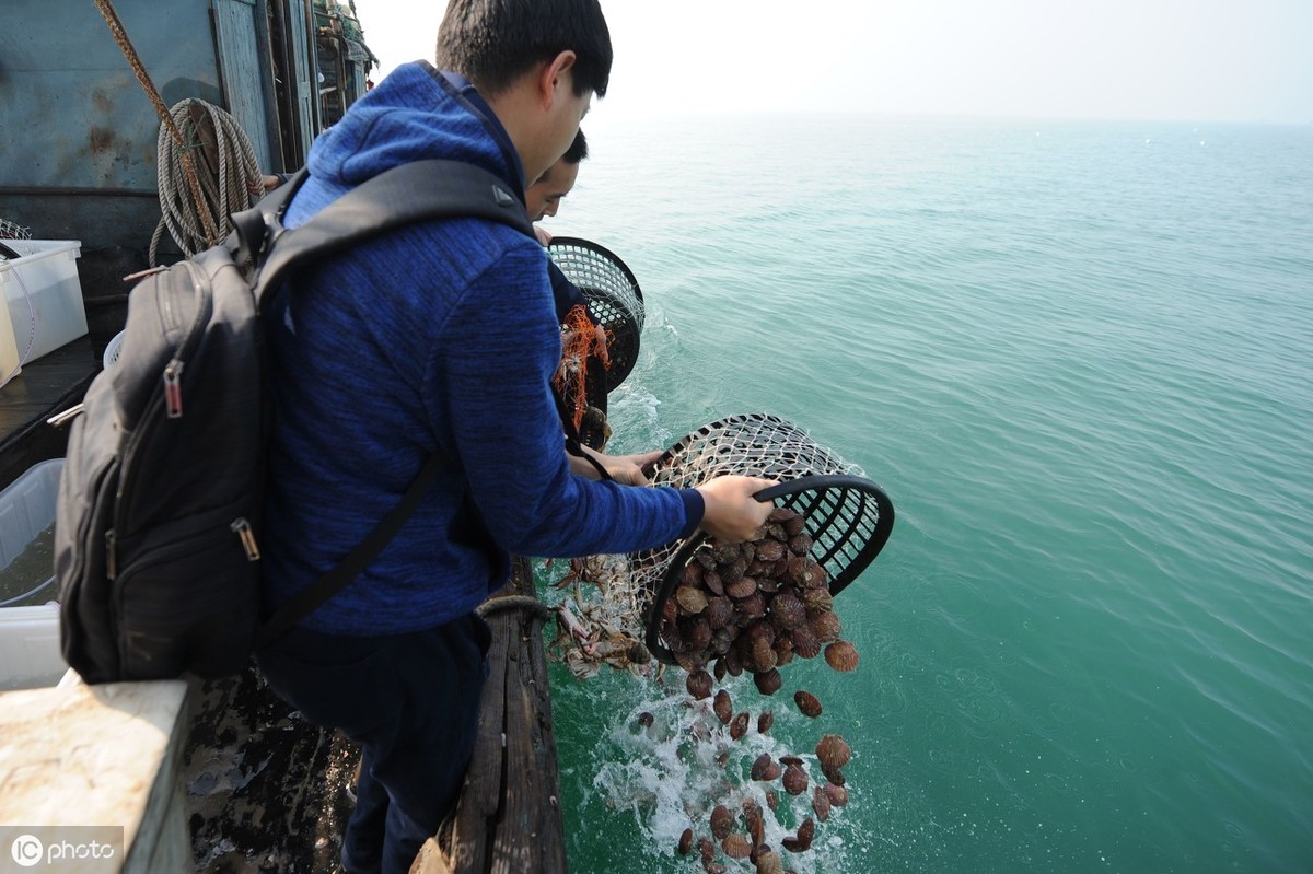 养殖河蟹的条件和方法是什么,正确放苗是河蟹养殖成功的第一步