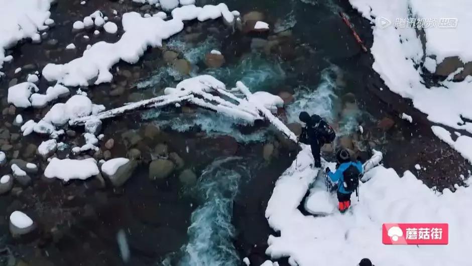 横冲直撞20岁波兰,横冲直撞20岁评价