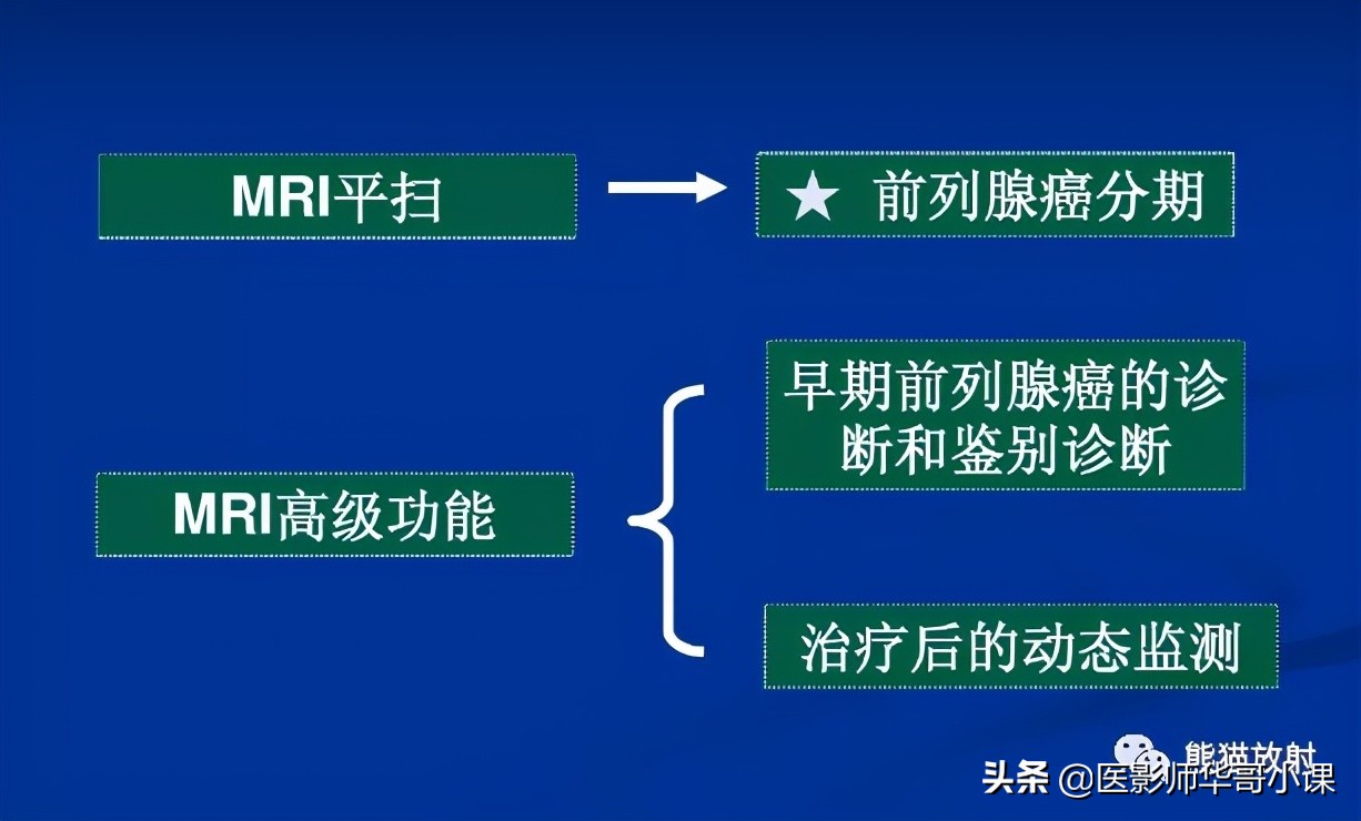 前列腺磁共振影像解剖,前列腺mri正常诊断报告模板