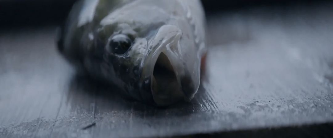 这部重口大片,仅88人看过