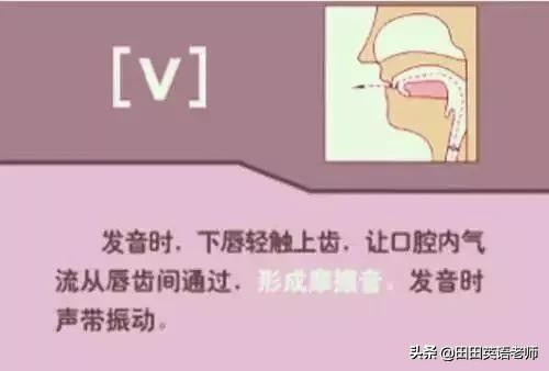 基础英语48个国际音标详解，赶紧来学习！