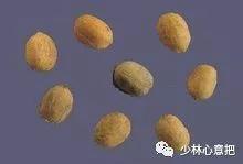 动物中药功效大全,中药药材大全及功效