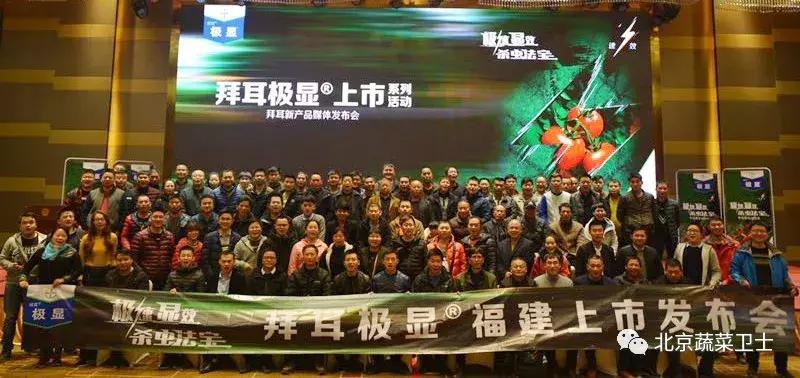 拜耳消杀白粉虱,拜耳治白粉虱特效药