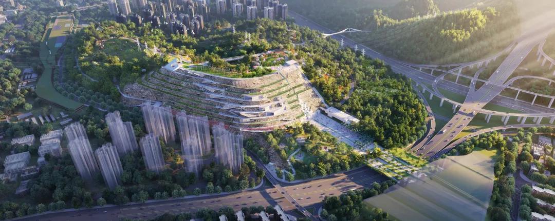 理论中心组进行集体学习,理论学习中心组集体学习计划