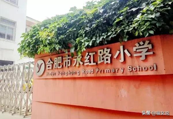 合肥优质小学排名,合肥小学排名100强一览表