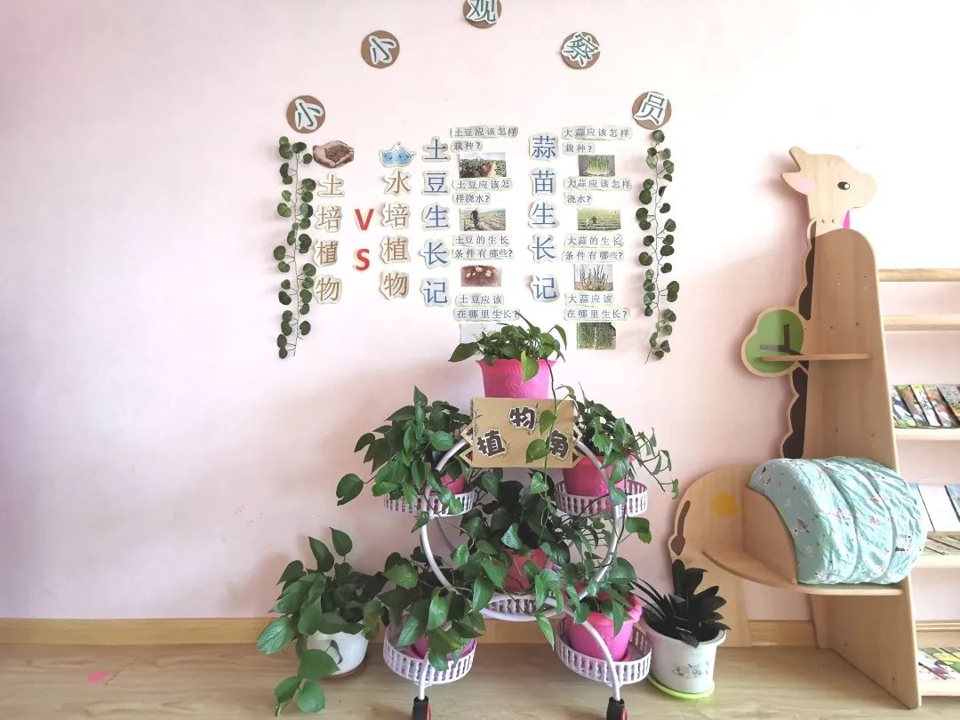 「长拖资讯」初夏绽放——老师把幼儿园的夏天和思念“打包”给你