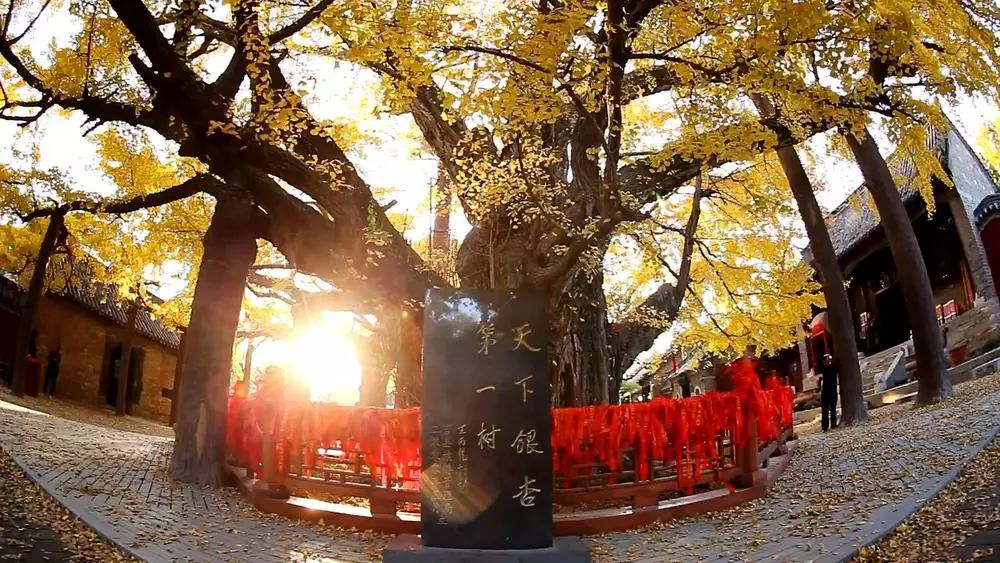 喜欢日照这座美丽的城市,突然爱上日照这座小城