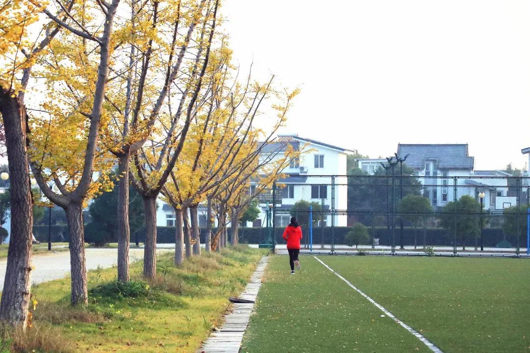 江苏省高校(六十六)苏州大学应用技术学院