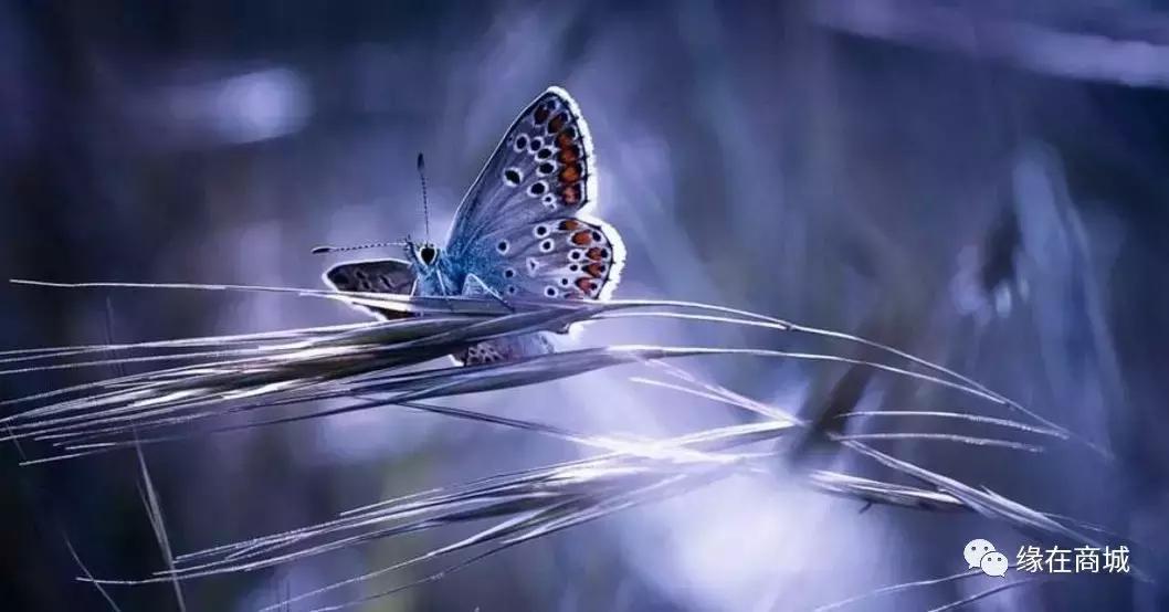 「品读」我的前男网友——以后真的不单独见面吗?/江河之王