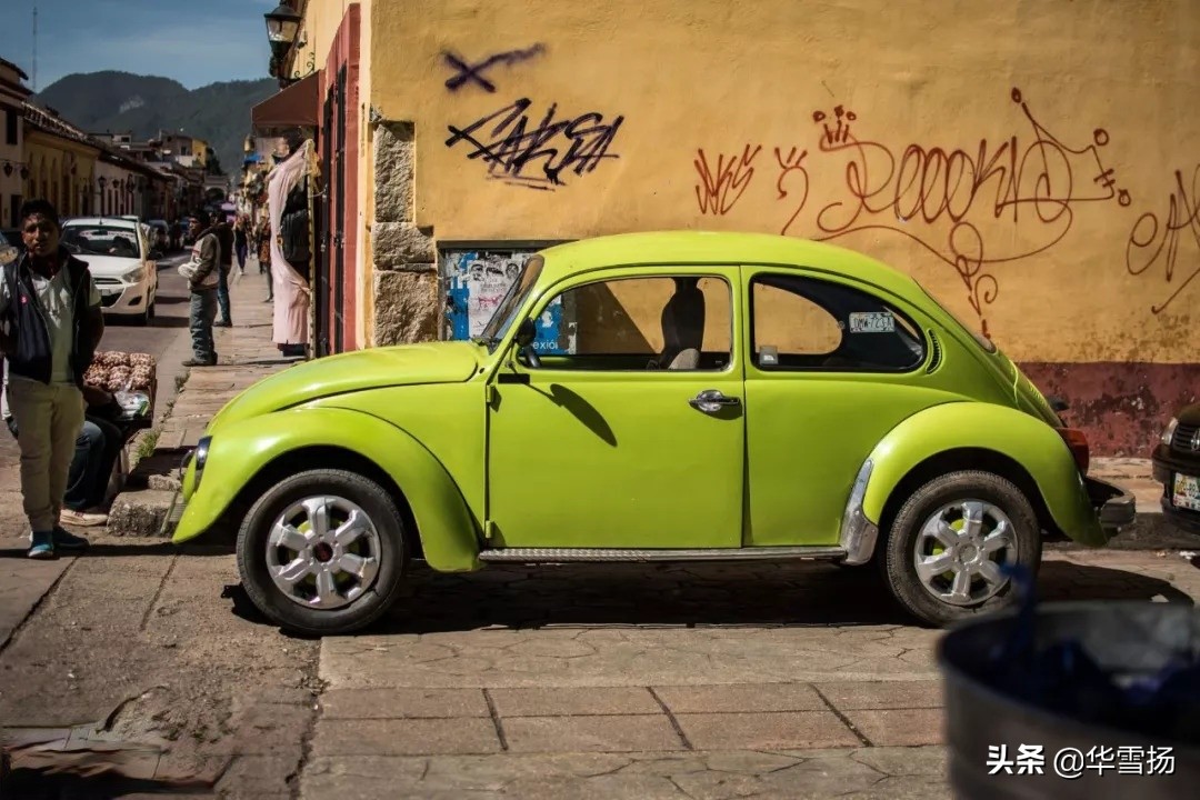 在这里你可以看到绚烂多彩的甲壳虫,因为他们是这里的精灵