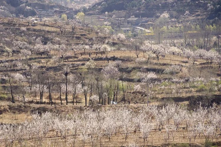 密云古村落古城堡,密云隐秘的美景