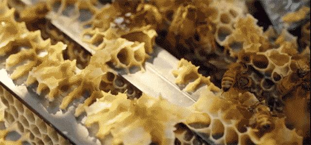 农科院研发的纯植物护肤品,农科院研究的护肤品