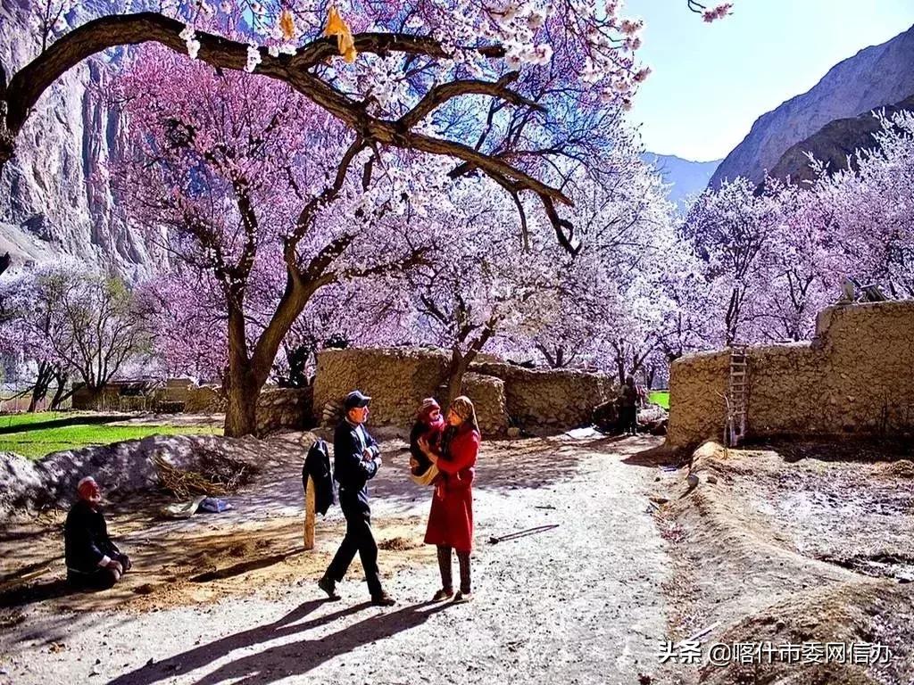 喀什便民信息服务站,喀什便民服务平台