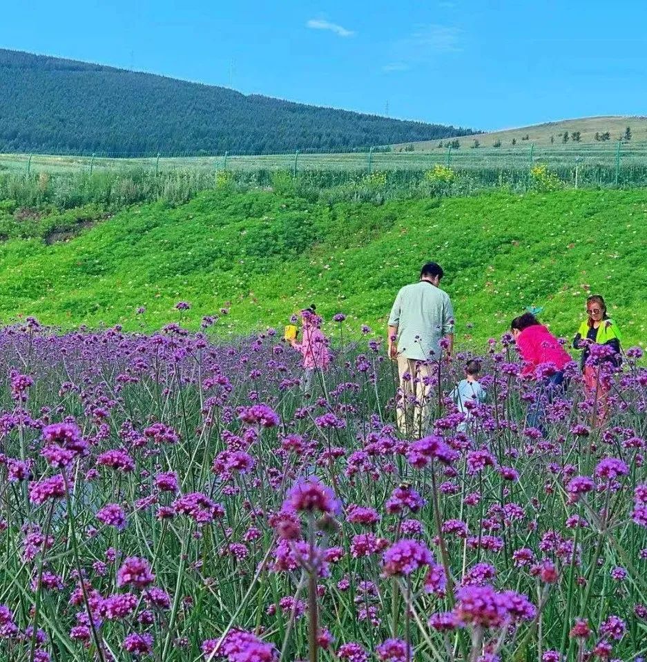 中国天路震撼视频,中国十大惊艳的天路