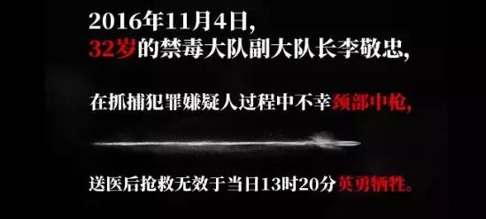 揭秘破冰行动背后真实大案,破冰行动原型案件警力