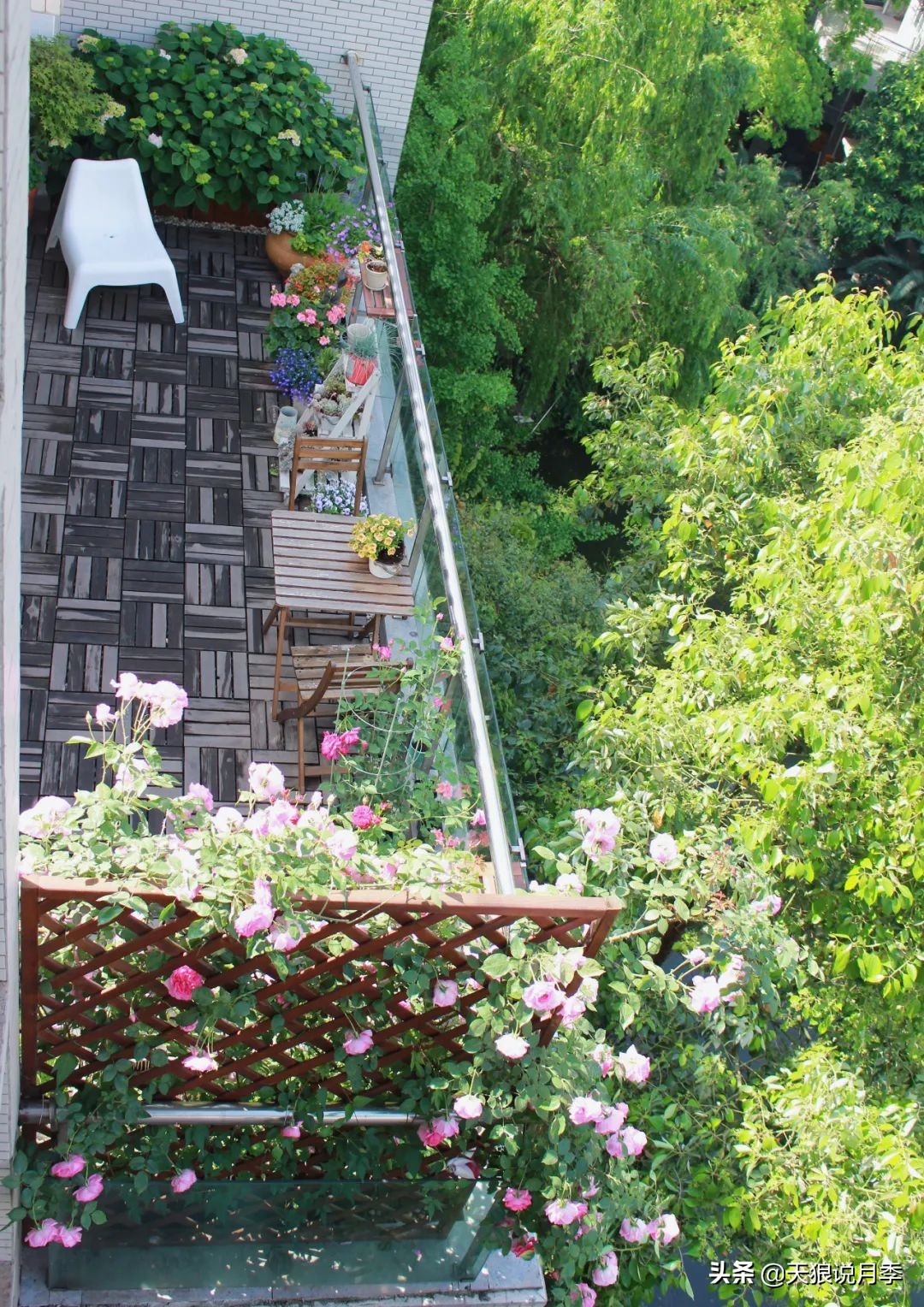 如何打造四季开花的花园,如何打造四季都有花的花园