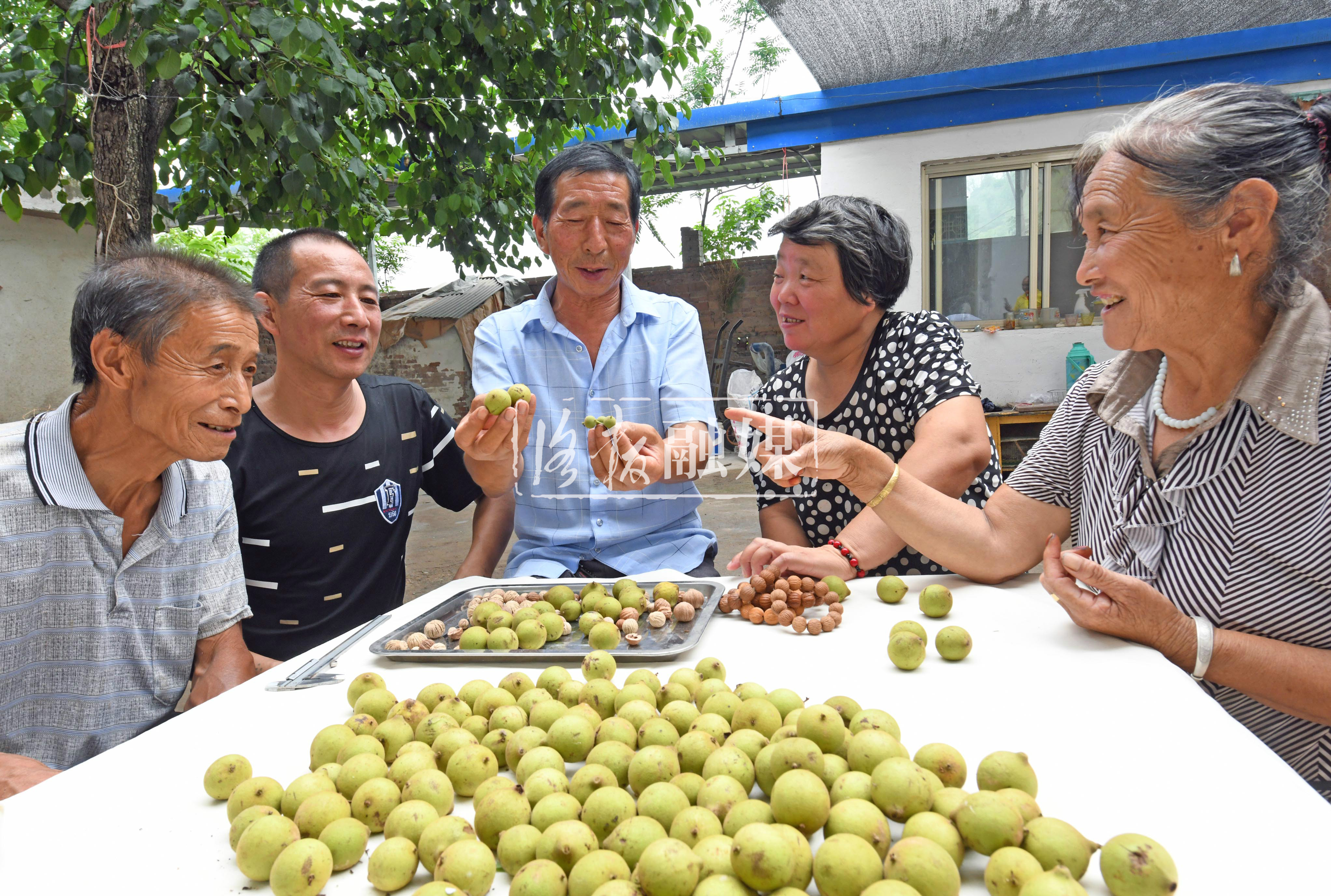 荒山变生态家园,荒山变果园野果成金果