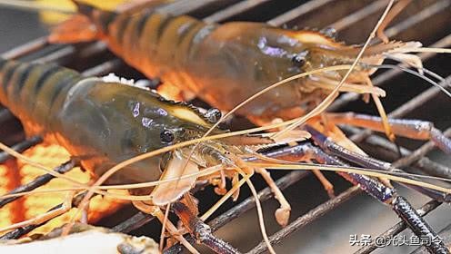 巨型虾入侵,罕见巨虾入侵
