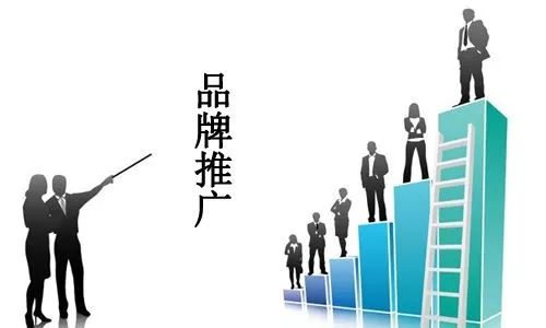 合肥万木春网络营销：品牌排名抢占百度全家桶高权重平台双重打法